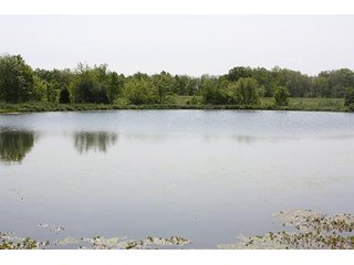 Property photo 33 - LAND AUCTION - 389.5+/- ACRES IN 11 TRACTS IN SULLIVAN COUNTY, INDIANA
